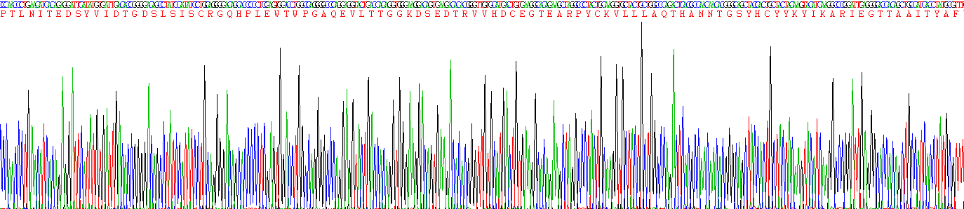 18007