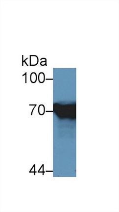 13873