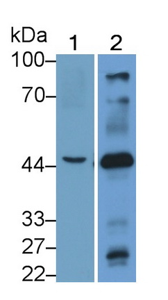 21390