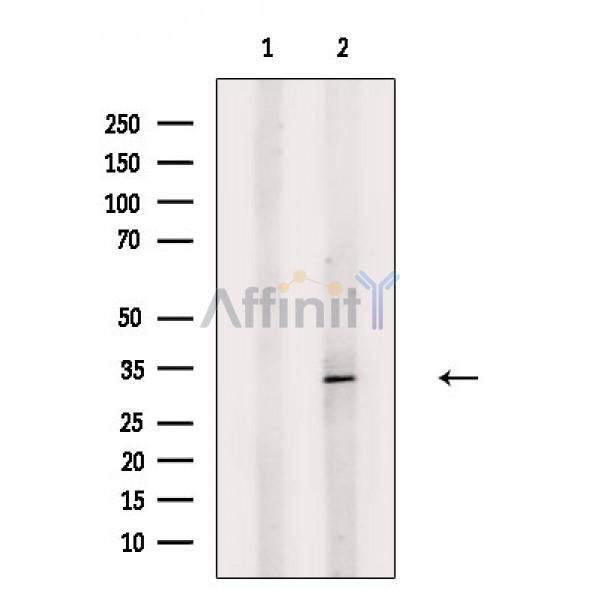 Валидация Affinity DF4119 - 15416