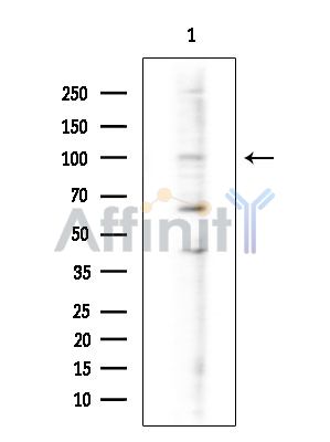 Валидация Affinity DF14519 - 10502