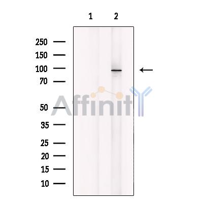 Валидация Affinity DF10322 - 5943