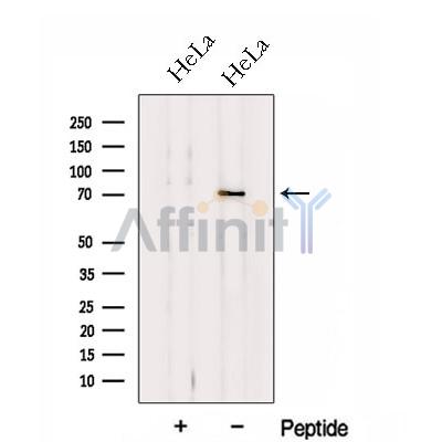 Валидация Affinity DF13070 - 7935