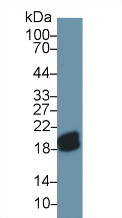 13720