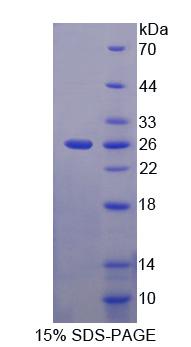 60214
