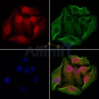 Валидация Affinity DF12103 - 6224