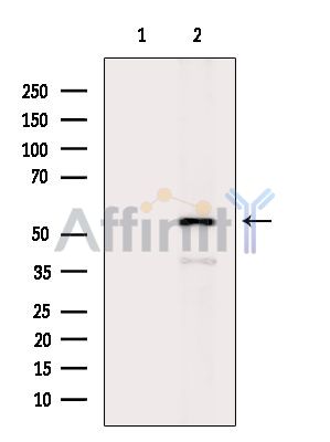 Валидация Affinity DF4703 - 16386