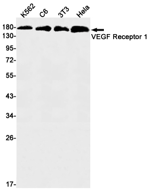 Валидация AssayVector ARM2636(4881)