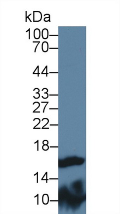 9416