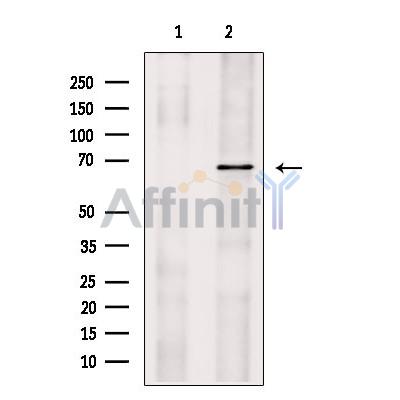 Валидация Affinity DF9724 - 22521