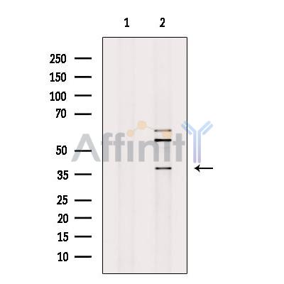 Валидация Affinity DF9829 - 22721