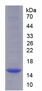 60811