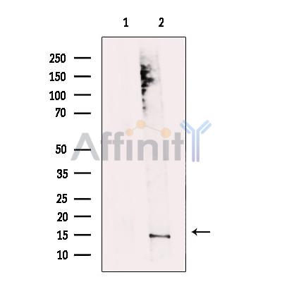 Валидация Affinity DF12424 - 6934