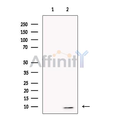 Валидация Affinity DF13736 - 9380