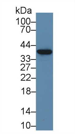 9401