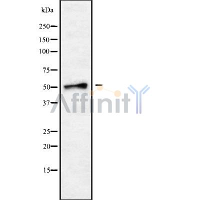 Валидация Affinity DF9379 - 21913