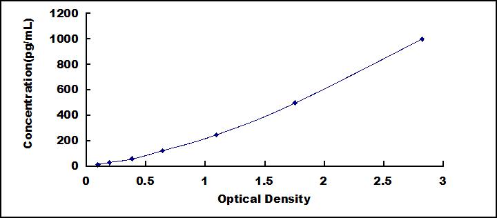 37364