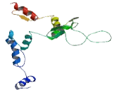 Zinc Finger Protein 285 (ZNF285)