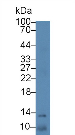 13953