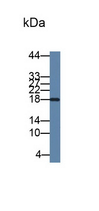 10488
