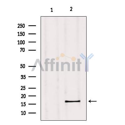 Валидация Affinity DF9541 - 22195