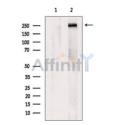 Валидация Affinity DF8912 - 21040