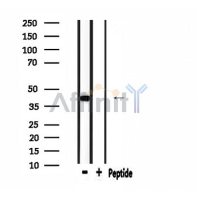 Валидация Affinity DF4175 - 15516