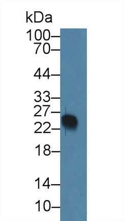 10150