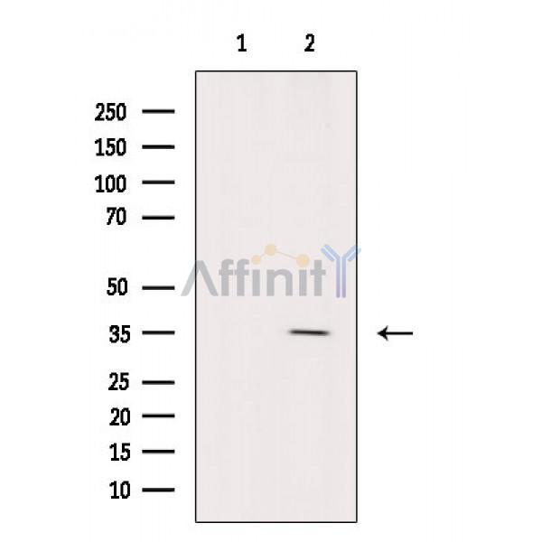 Валидация Affinity DF3805 - 14924