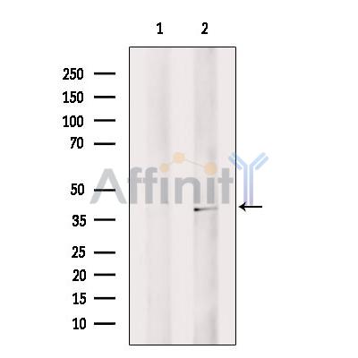 Валидация Affinity DF10036 - 5488