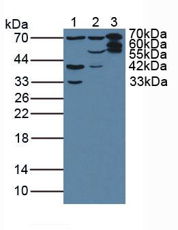 6574