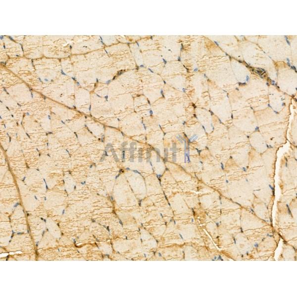 Валидация Affinity DF13085 - 7967