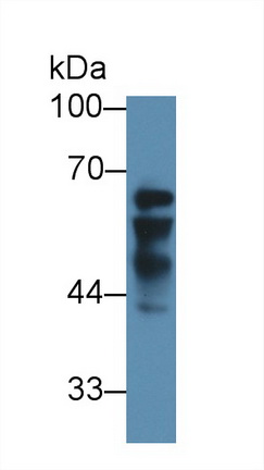 8805