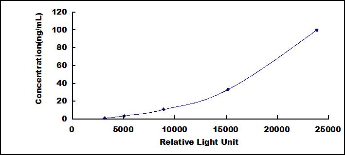 46117