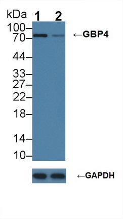 8430