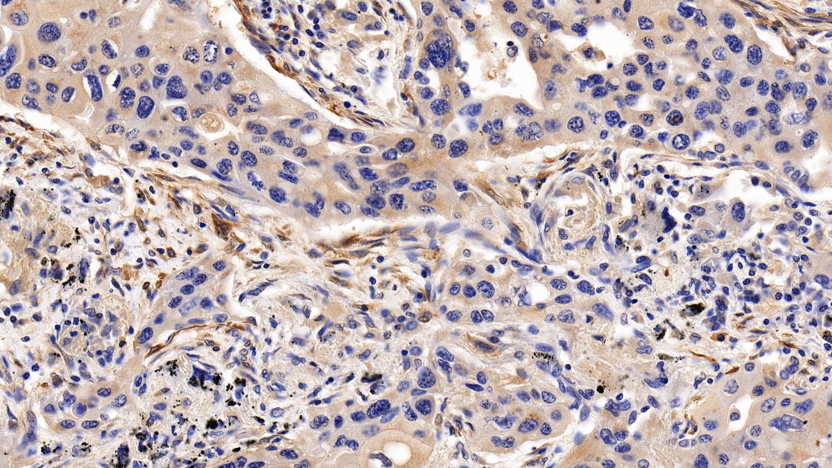 22979