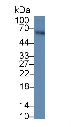 1057