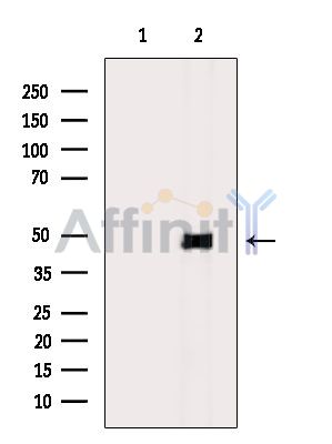 Валидация Affinity DF14445 - 10410