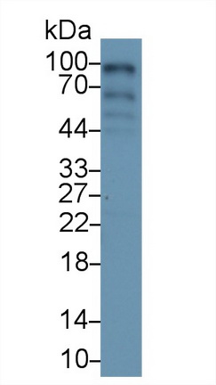 13359