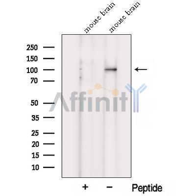 Валидация Affinity DF12794 - 7486