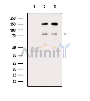 Валидация Affinity DF14720 - 10790