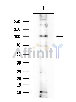 Валидация Affinity DF2270 - 12823
