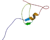 Zinc Finger Protein 483 (ZNF483)