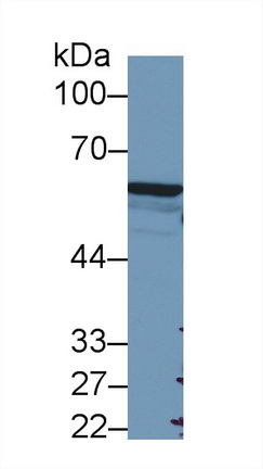 9410