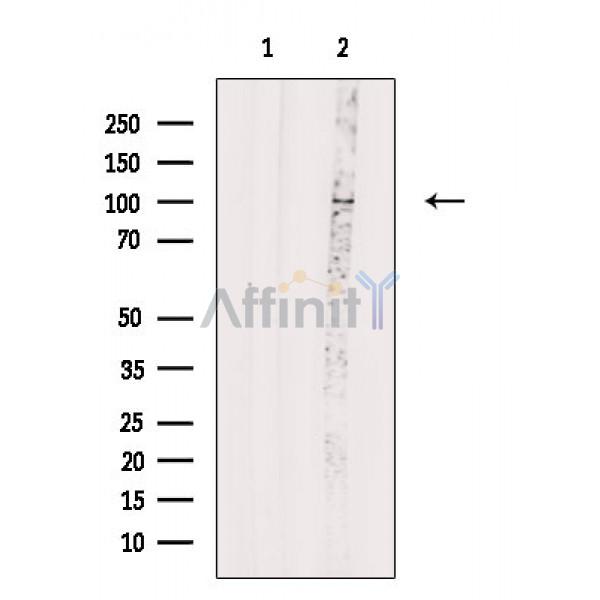 Валидация Affinity DF2663 - 13359