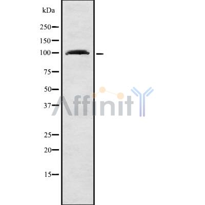 Валидация Affinity DF8714 - 20713