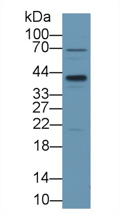 13412