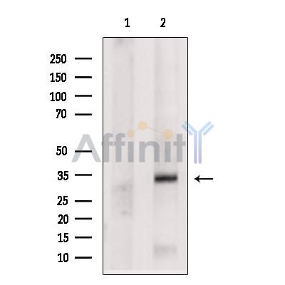 Валидация Affinity DF6459 - 17845
