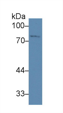13936