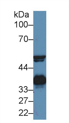 13865